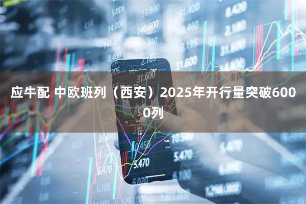 应牛配 中欧班列（西安）2025年开行量突破6000列