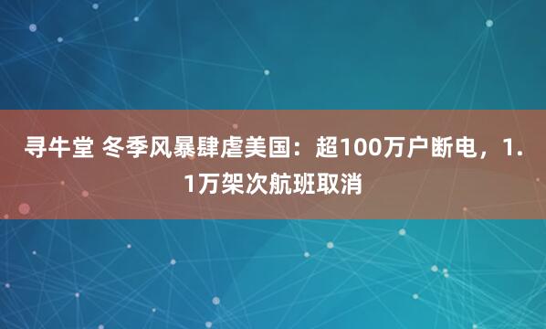寻牛堂 冬季风暴肆虐美国：超100万户断电，1.1万架次航班取消