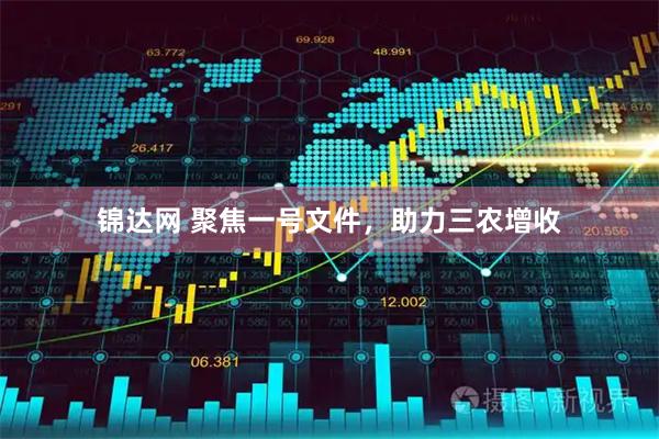 锦达网 聚焦一号文件，助力三农增收