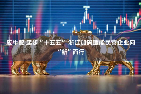 应牛配 起步“十五五” 浙江加码赋能民营企业向“新”而行
